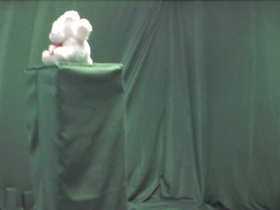45 Degrees _ Picture 9 _ Small White Teddy Bear.png